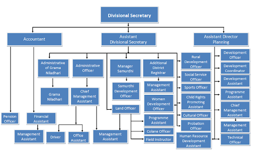 organizational structure