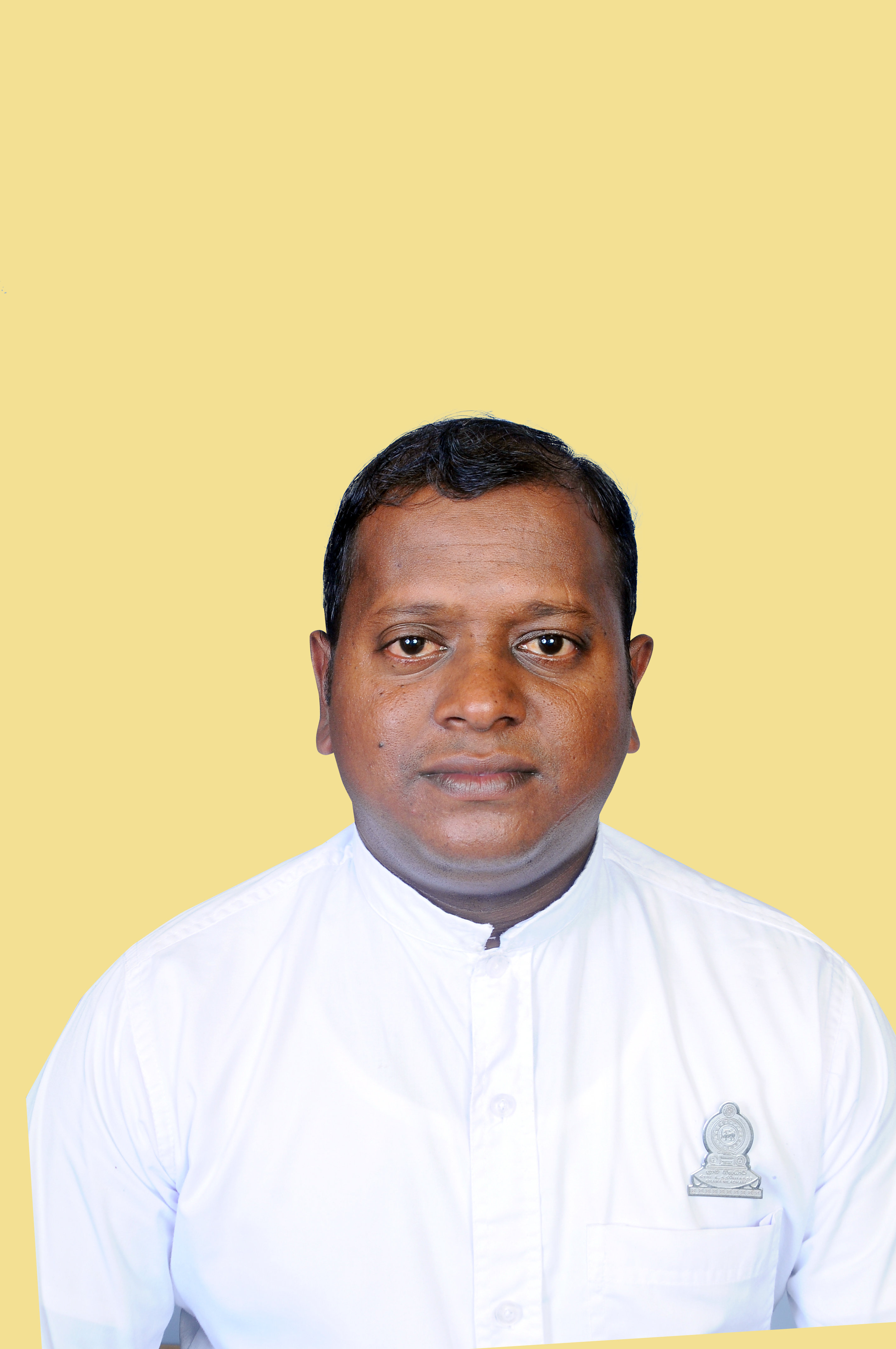 DSC 0250 01
