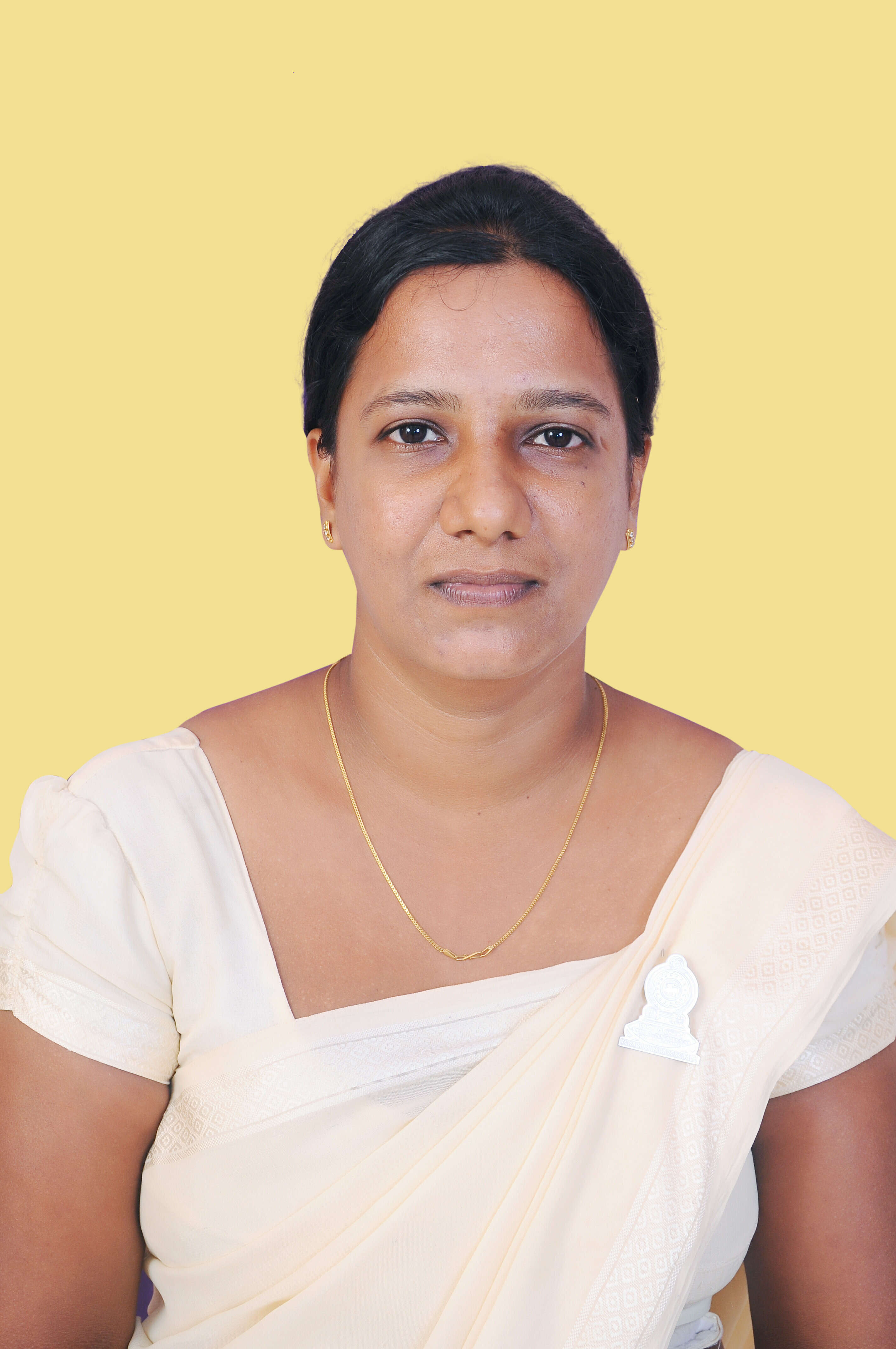DSC 04231
